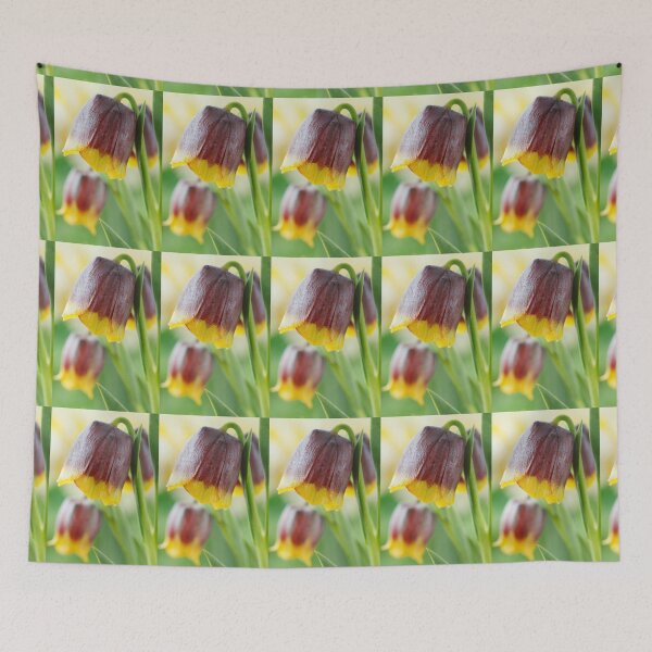 Item preview, Fritillaria michailovskyi   Michailovski fritillary  designed and sold by Chris Burrows.