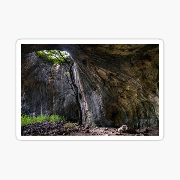 Item preview, Nature designed and sold by VelinTodorov.