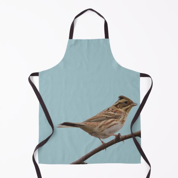 Item preview, Rustic Bunting Bird Vector Isolated designed and sold by taiche.