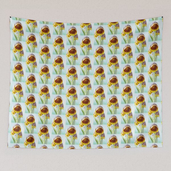 Item preview, Fritillaria michailovskyi   Michailovski fritillary  designed and sold by Chris Burrows.