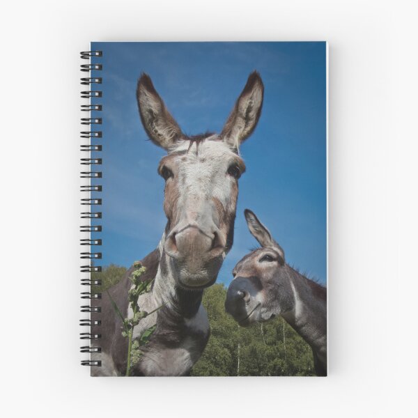 Item preview, Inquisitive donkeys designed and sold by WildEncounters.