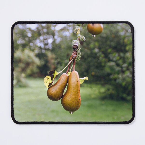 Item preview, pear hanging of a tree designed and sold by J-Brezy.