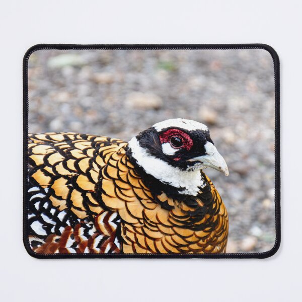 Item preview, Red Necked pheasant designed and sold by J-Brezy.