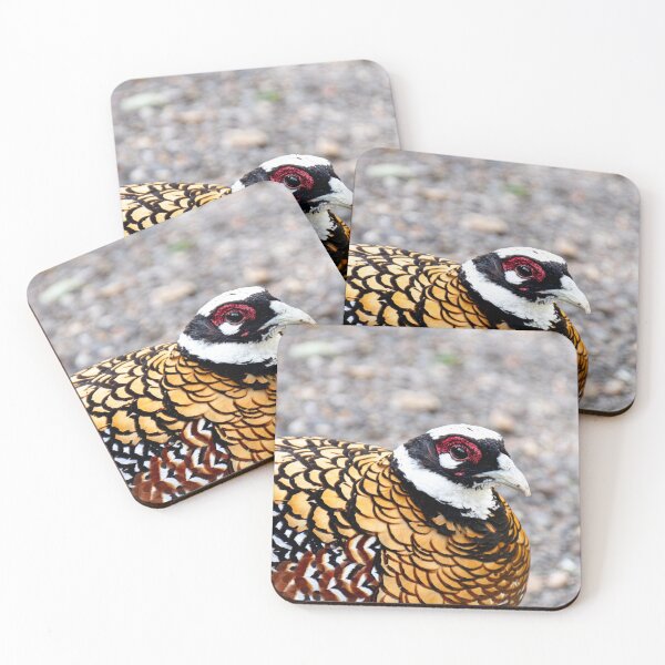 Item preview, Red Necked pheasant designed and sold by J-Brezy.