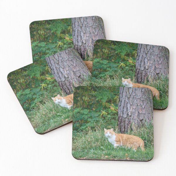 Item preview, Hunting time. Cat designed and sold by Jouko Lehto Photography.