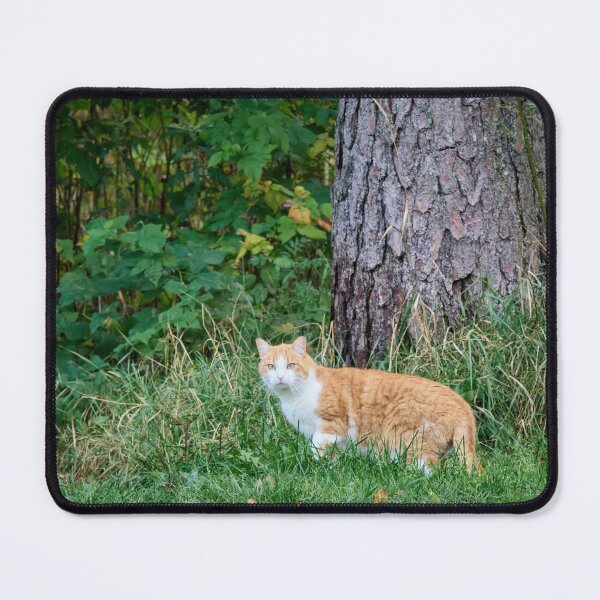 Item preview, Hunting time. Cat designed and sold by Jouko Lehto Photography.