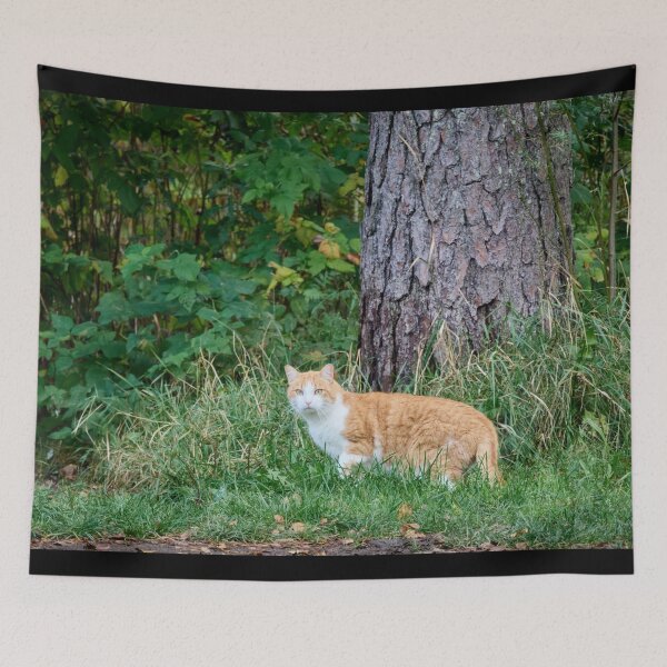 Item preview, Hunting time. Cat designed and sold by Jouko Lehto Photography.