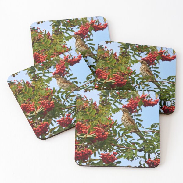 Item preview, Redwing and rowan berries designed and sold by Jouko Lehto Photography.
