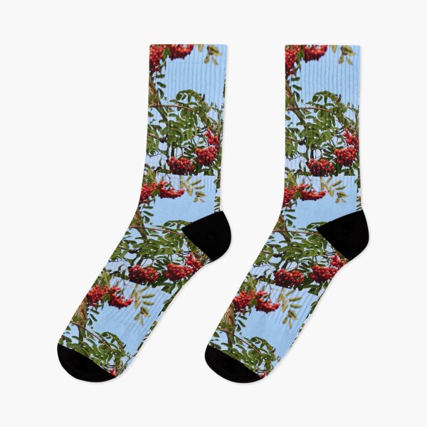 Item preview, Redwing and rowan berries designed and sold by Jouko Lehto Photography.