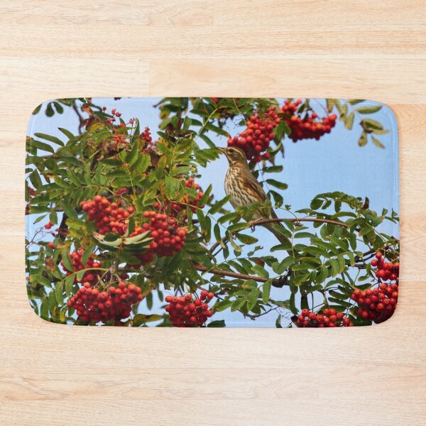 Item preview, Redwing and rowan berries designed and sold by Jouko Lehto Photography.