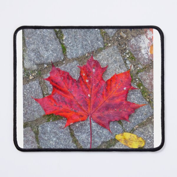 Item preview, Autumn - 5 designed and sold by JolieFemme.