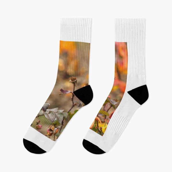 Item preview, garden with wilted roses autumn season designed and sold by goceris.