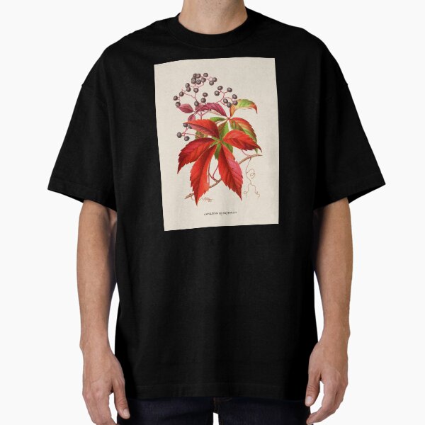 Item preview, Virginia Creeper Antique Botanical Illustration designed and sold by Antiquated Art.