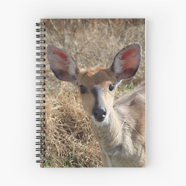 Item preview, Buck designed and sold by Steven Boeynaems.