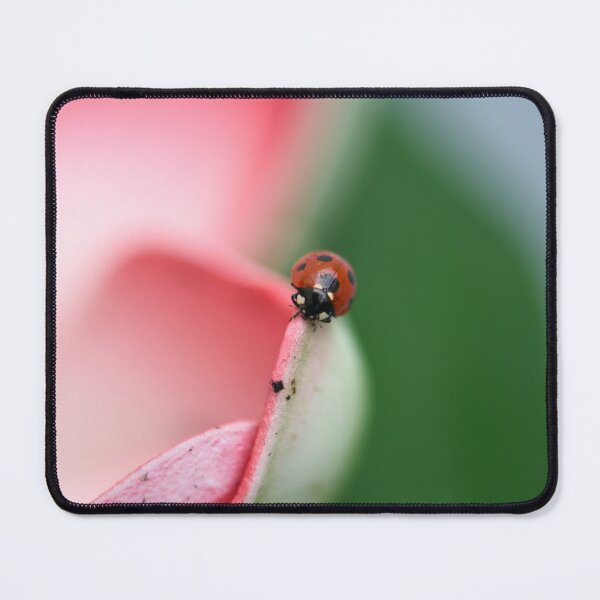 Item preview, LadyBug designed and sold by mrkmiz.