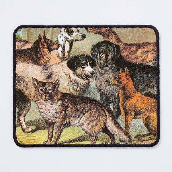 Item preview, Esquimau Danish Irish Greyhound Dingo Newfoundland Tibetan and Wild Dogs Chromolithograph Dog Lover Gift designed and sold by ElegantTeaTime.