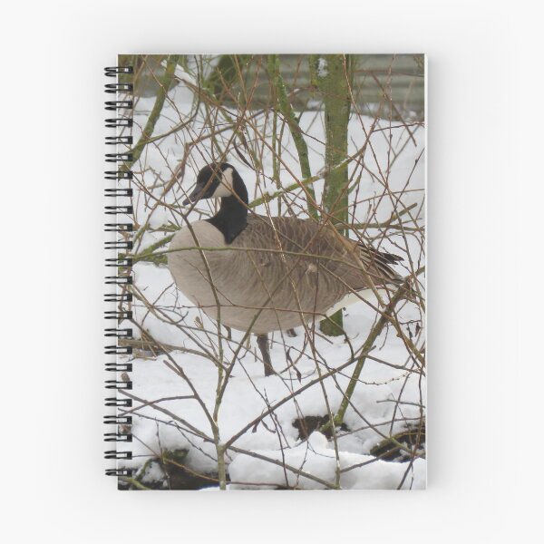 Item preview, Canada Goose in Snow designed and sold by EMStanton-Photo.