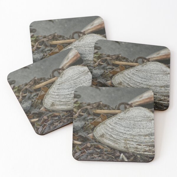 Item preview, Shells in the Mud designed and sold by Ruth Curtis.