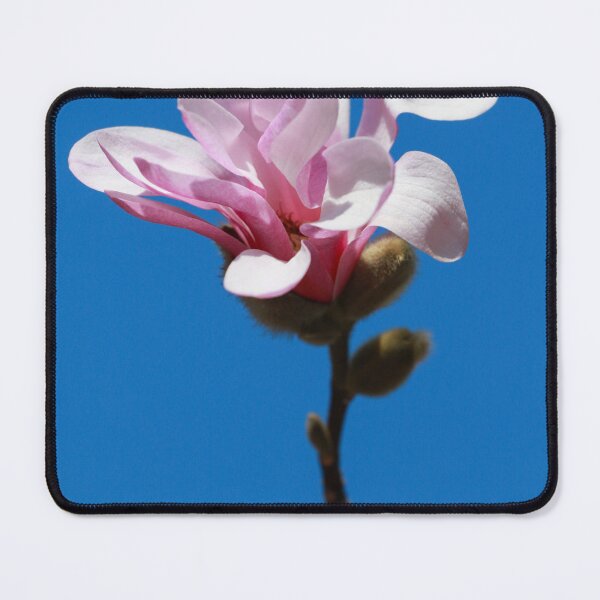 Item preview, spring designed and sold by AngelNenov.