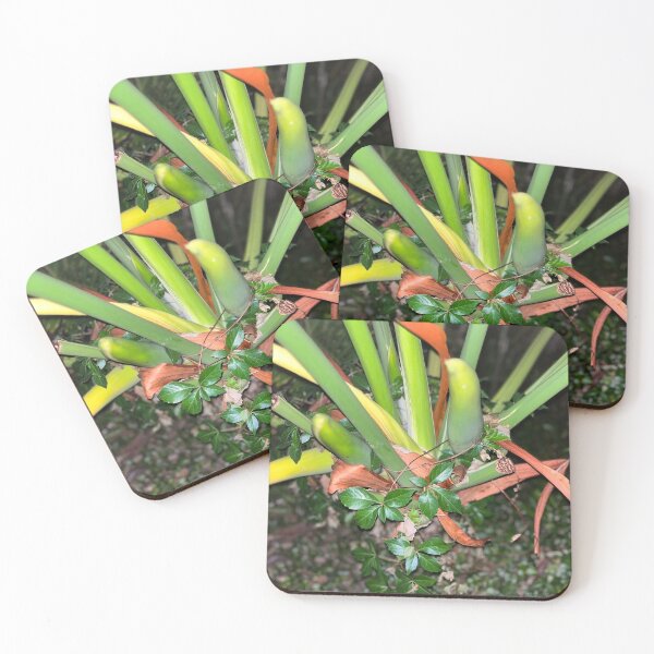 Item preview, Nature is Beautiful designed and sold by ProgressOfLamb.