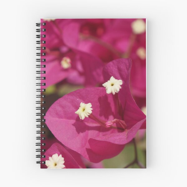 Item preview, Pink Bougainvillea #flower #original #photo #new #unique designed and sold by aariv.