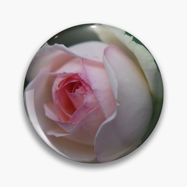 Item preview, Greetings from my garden, pink rose designed and sold by Binas-gallery.