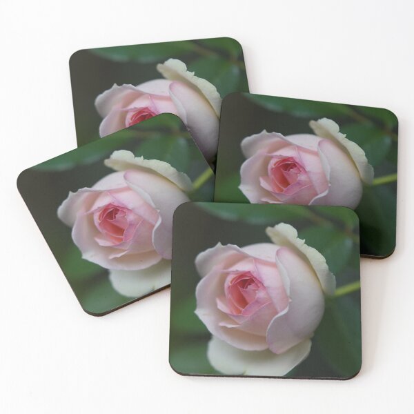 Item preview, Greetings from my garden, pink rose designed and sold by Binas-gallery.