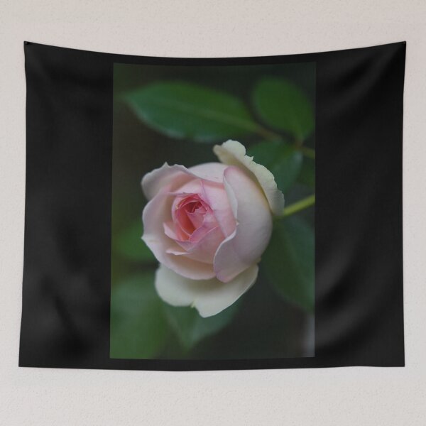 Item preview, Greetings from my garden, pink rose designed and sold by Binas-gallery.