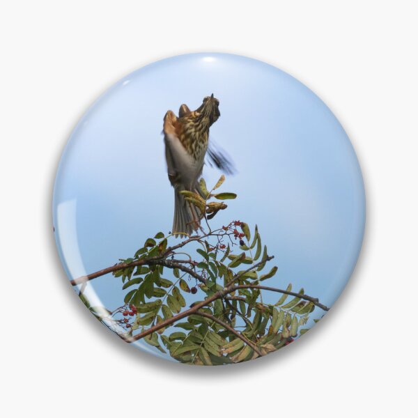 Item preview, Twisted takeoff. Redwing designed and sold by Jouko Lehto Photography.