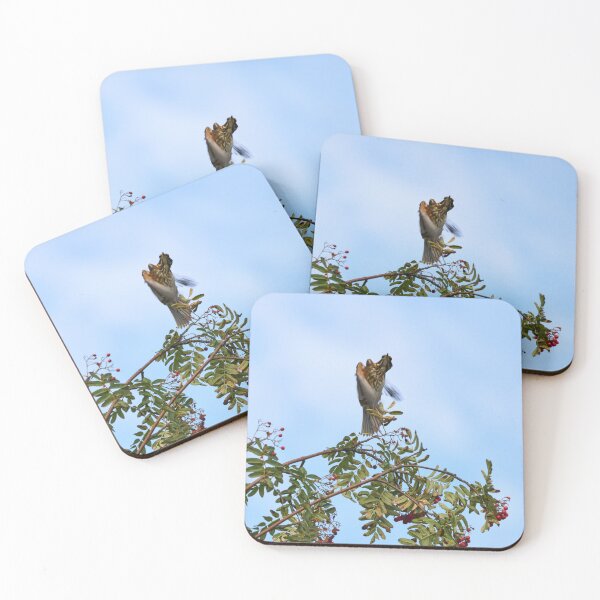 Item preview, Twisted takeoff. Redwing designed and sold by Jouko Lehto Photography.