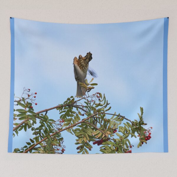 Item preview, Twisted takeoff. Redwing designed and sold by Jouko Lehto Photography.