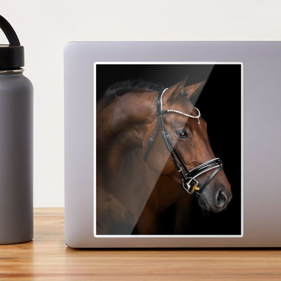 Brown horse face cool dark portrait photography Sticker for Sale by Arthur  Von | Redbubble