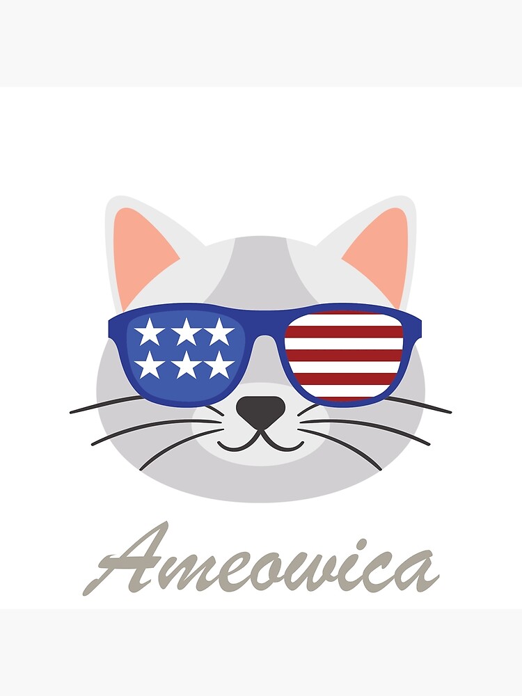 American cat ameowica Poster