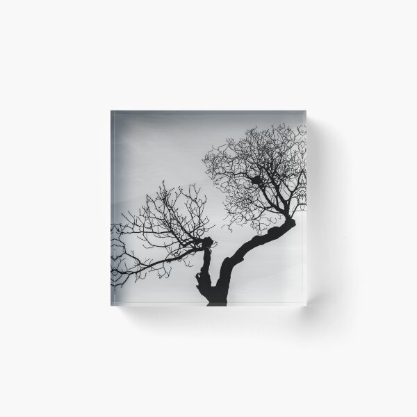 Item preview, Tree in the park designed and sold by Fabian Odu.