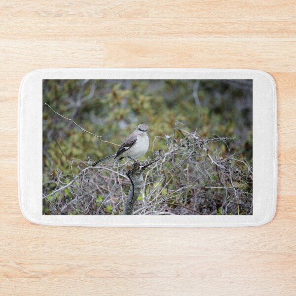 Item preview, Perched Mockingbird designed and sold by Cynthia48.