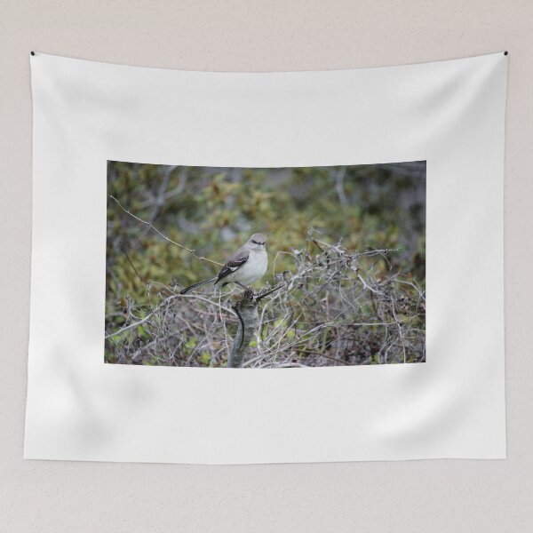 Item preview, Perched Mockingbird designed and sold by Cynthia48.