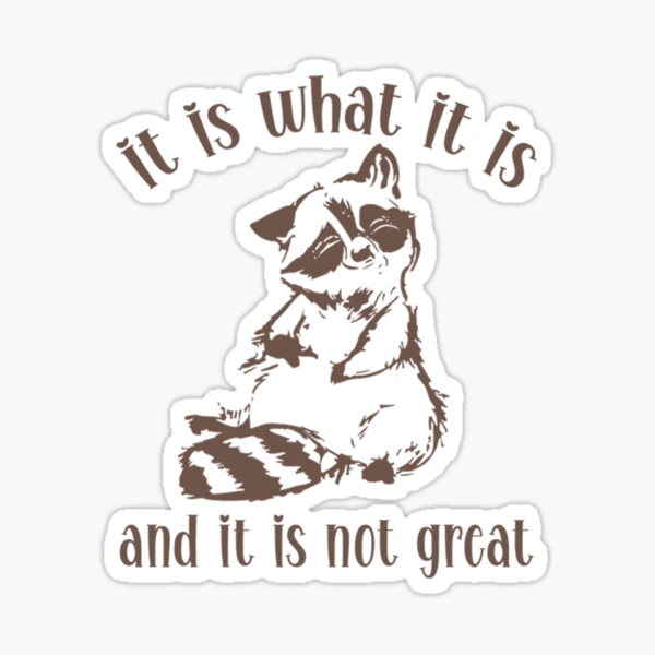 Lustiger Waschbär-Meme Aufkleber – 'It Is What It Is' Vinyl, Wasserdicht