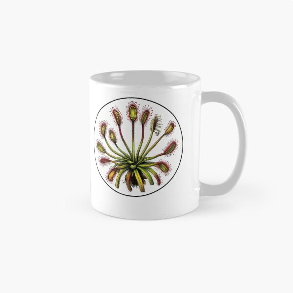 Item preview, Giant Sundew Plant Beautiful Botanical Drosera Illustration designed and sold by Carnivorous  Plant Club ⭐⭐⭐⭐⭐.