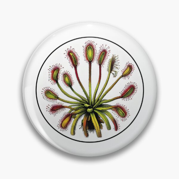 Item preview, Giant Sundew Plant Beautiful Botanical Drosera Illustration designed and sold by Carnivorous  Plant Club ⭐⭐⭐⭐⭐.