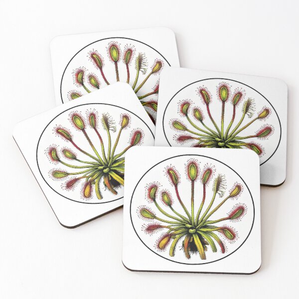 Item preview, Giant Sundew Plant Beautiful Botanical Drosera Illustration designed and sold by Carnivorous  Plant Club ⭐⭐⭐⭐⭐.
