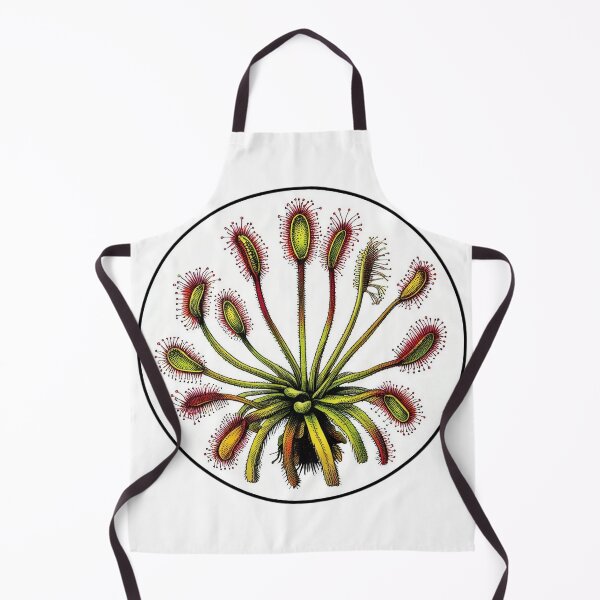 Item preview, Giant Sundew Plant Beautiful Botanical Drosera Illustration designed and sold by Carnivorous  Plant Club ⭐⭐⭐⭐⭐.