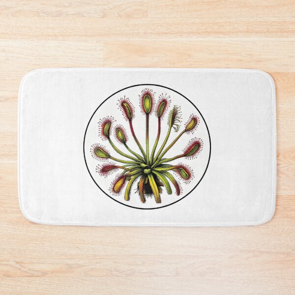 Item preview, Giant Sundew Plant Beautiful Botanical Drosera Illustration designed and sold by Carnivorous  Plant Club ⭐⭐⭐⭐⭐.
