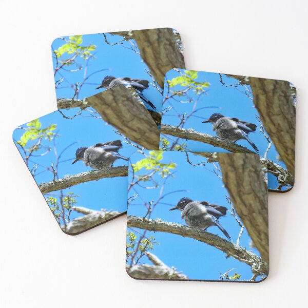 Item preview, Channel Islands National Park Santa Cruz Island  designed and sold by supernova23.