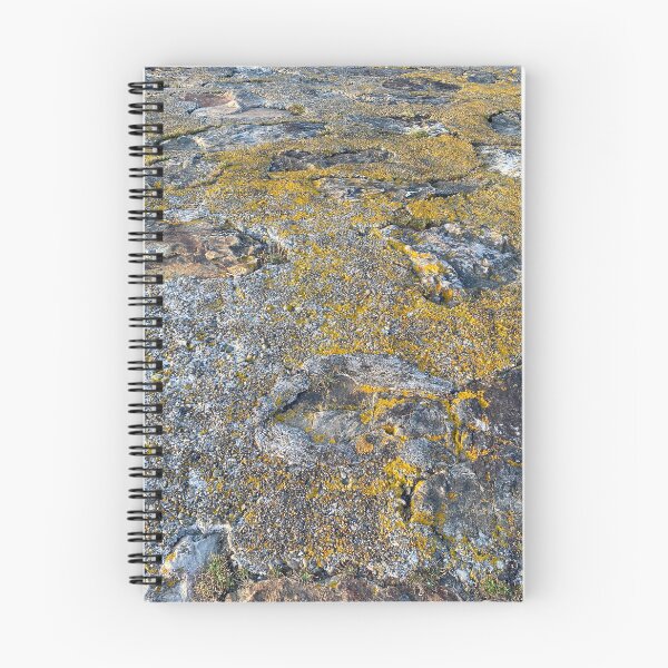 Item preview, Yellow Algae Growing on Stone designed and sold by Sinemathk.