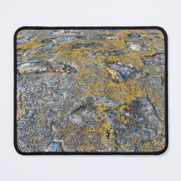 Item preview, Yellow Algae Growing on Stone designed and sold by Sinemathk.