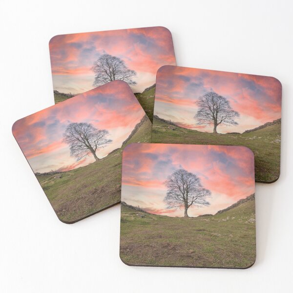 Item preview, Sycamore Gap designed and sold by Studio 4 Photo.