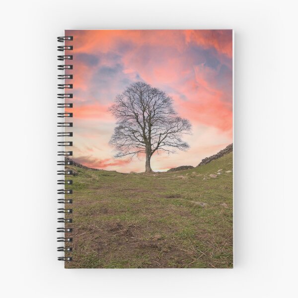 Item preview, Sycamore Gap designed and sold by Studio 4 Photo.
