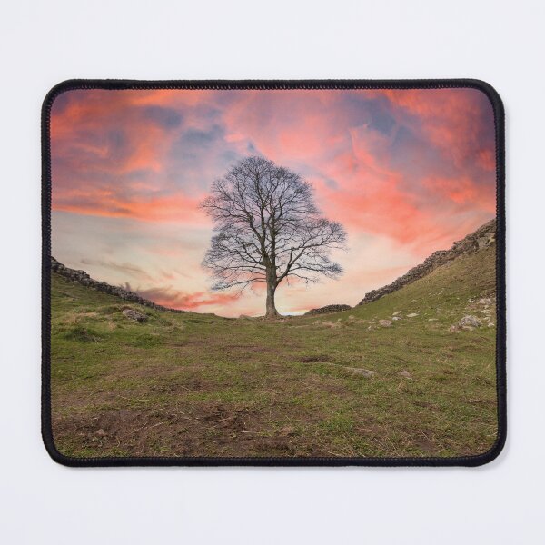 Item preview, Sycamore Gap designed and sold by Studio 4 Photo.