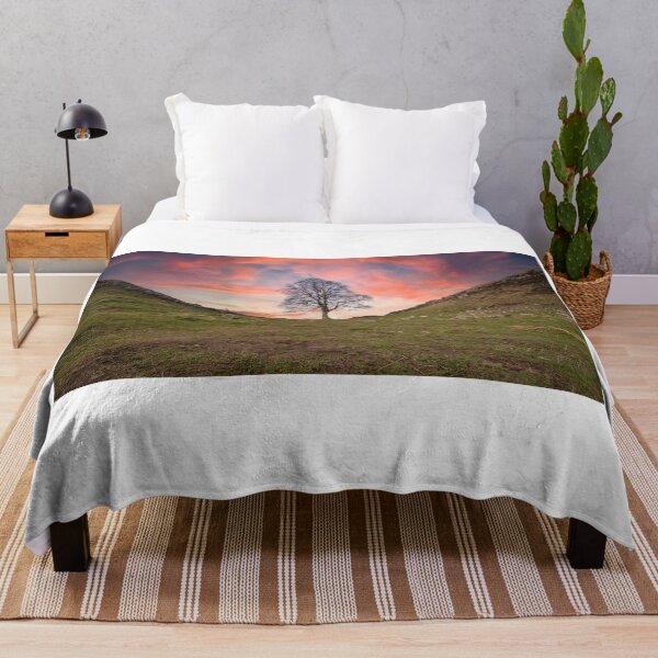 Item preview, Sycamore Gap designed and sold by Studio 4 Photo.