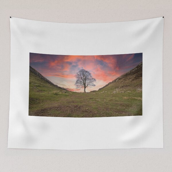 Item preview, Sycamore Gap designed and sold by Studio 4 Photo.